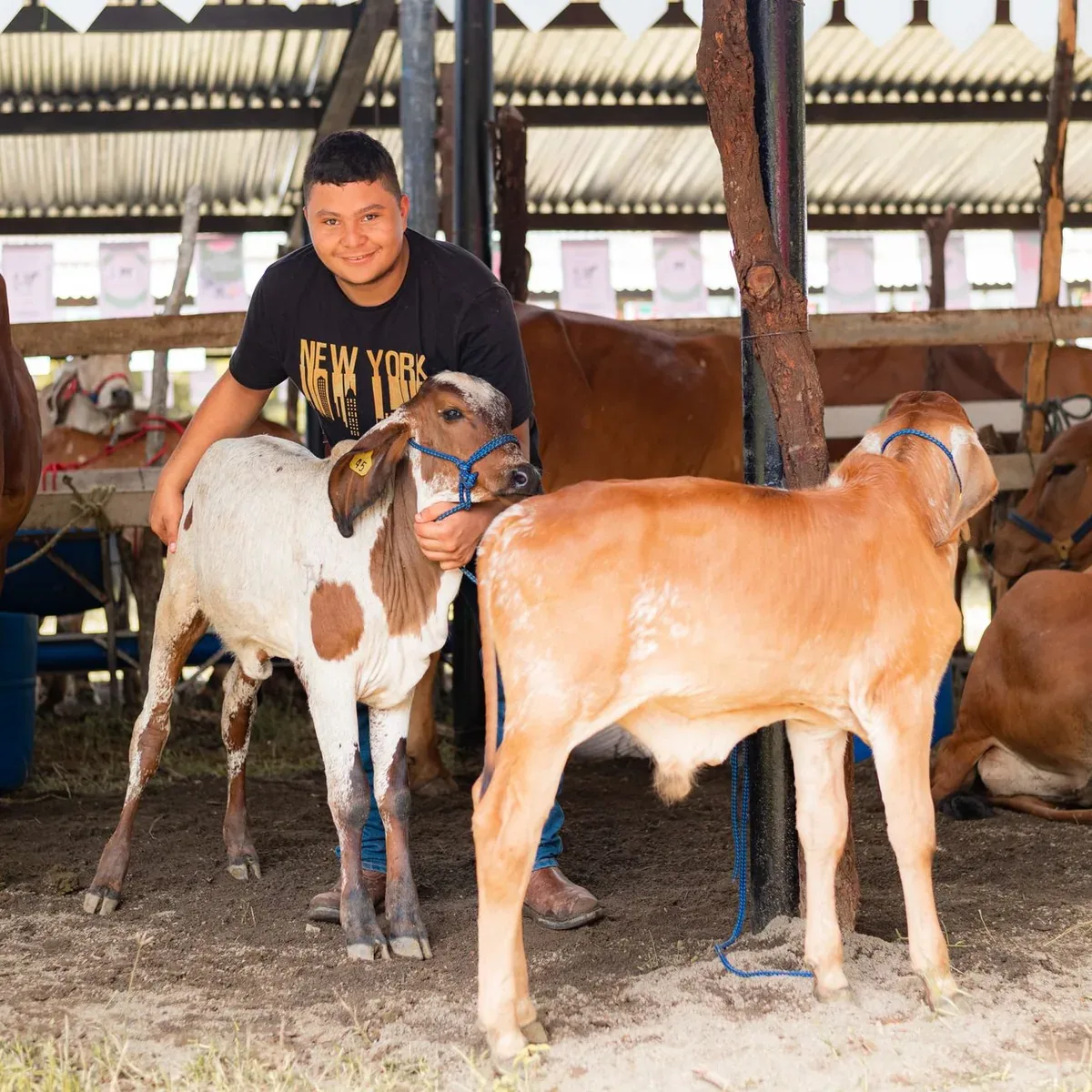 Colostrum Supplement Powder