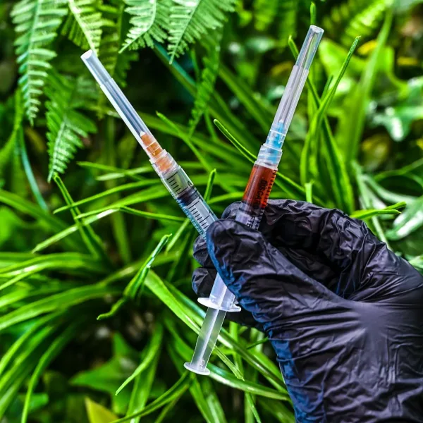 Infectious Bursal Disease Vaccine